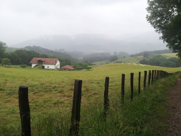 Day 5. Mist is a frequent feature of walking in the Basque country.