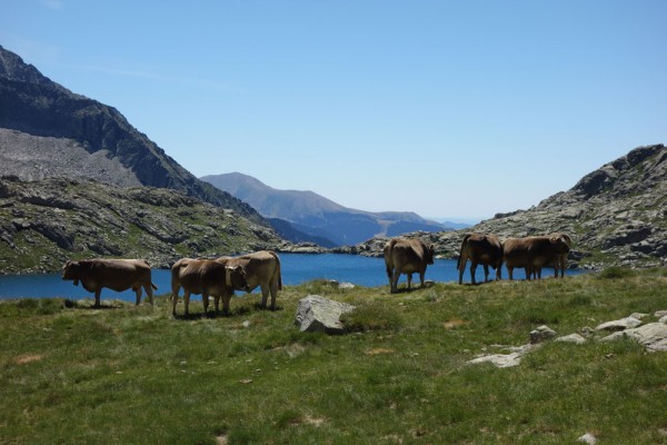 Day 32. Estany des Monges, between the Restanca and Colomers hostels.
